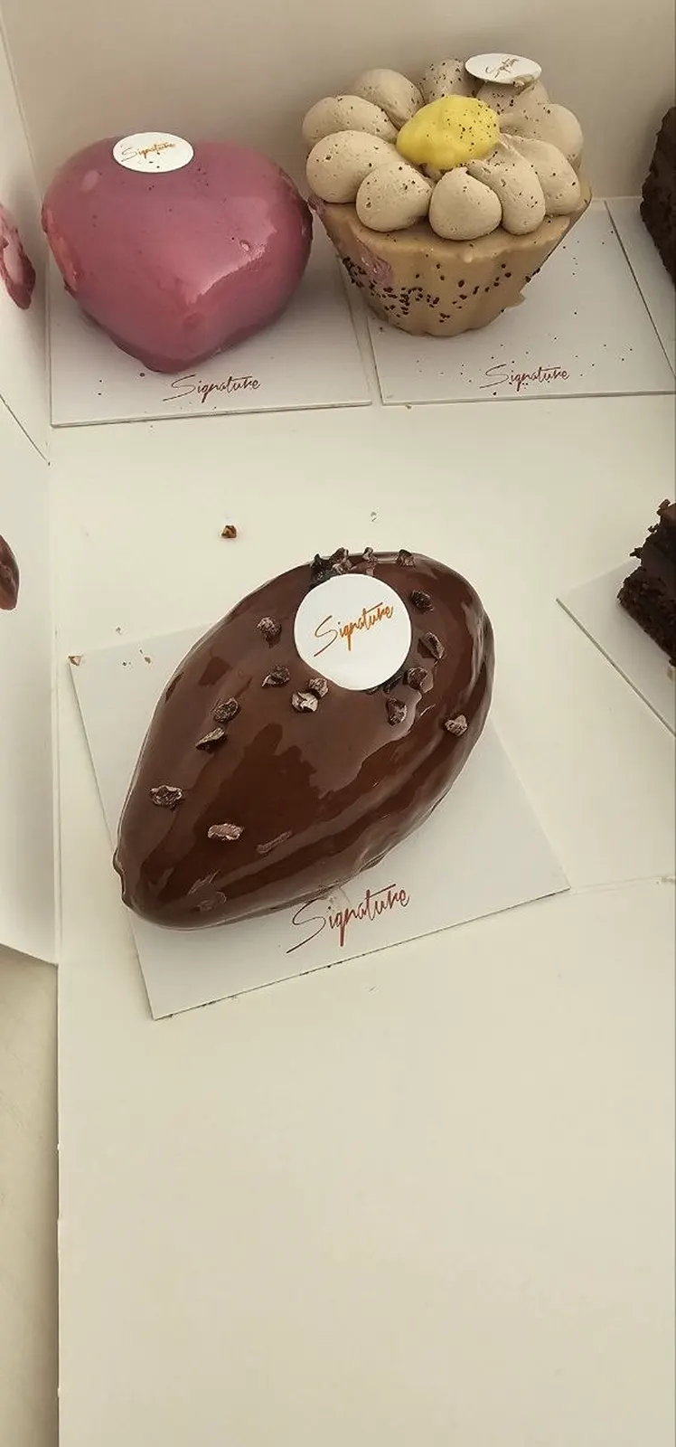 Dôme chocolat noir glacé, disque Signature